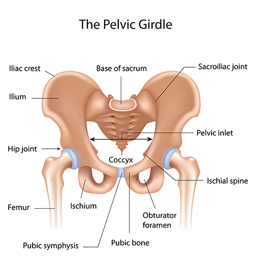 pain along iliac crest